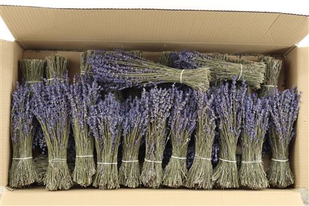 Dried Lavendel